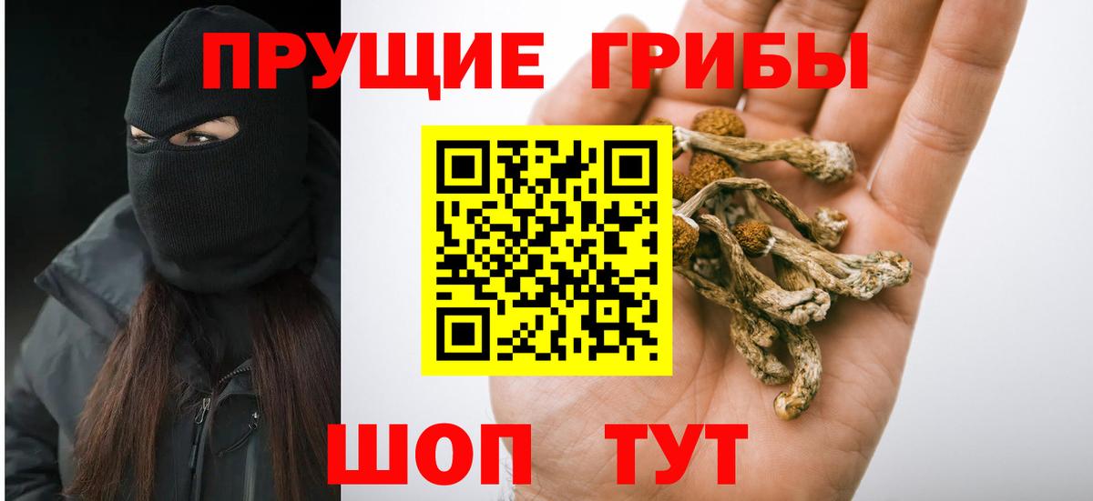 Лыткарино  Галлюциногенные грибы Magic Shrooms  Вход с VPN 