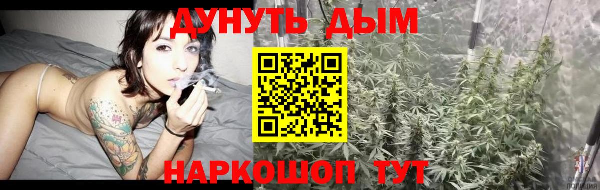 Бошки марихуана сатива  Вход с VPN  Лыткарино  Бошки Шишки SATIVA & INDICA 